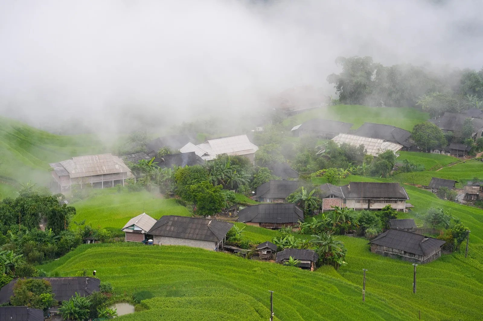 Misty terraced valley in Ban Luoc, Hoang Su Phi