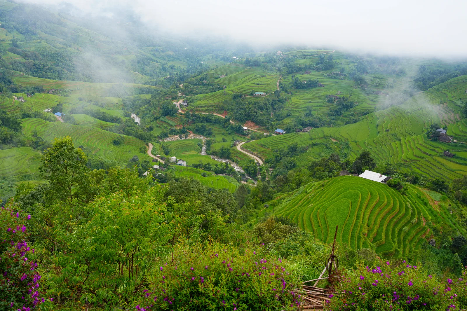Rice terraces near Ban Luoc in Hoang Su Phi