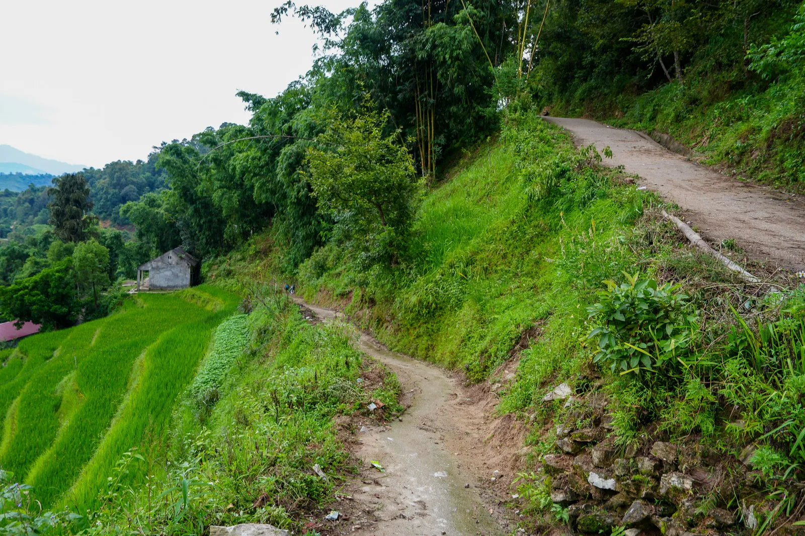 Terrace trail in Ban Luoc, Hoang Su Phi