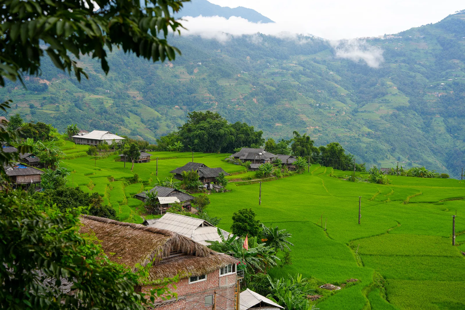 Stilt houses among the terraces in Ban Luoc, Hoang Su Phi