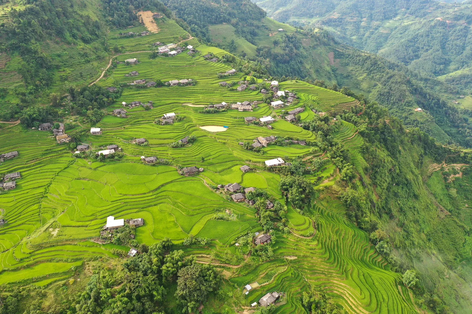 Rice terraces around Ban Phung, Hoang Su Phi