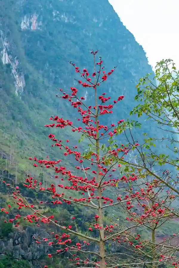 Red Dao ridge, private pace