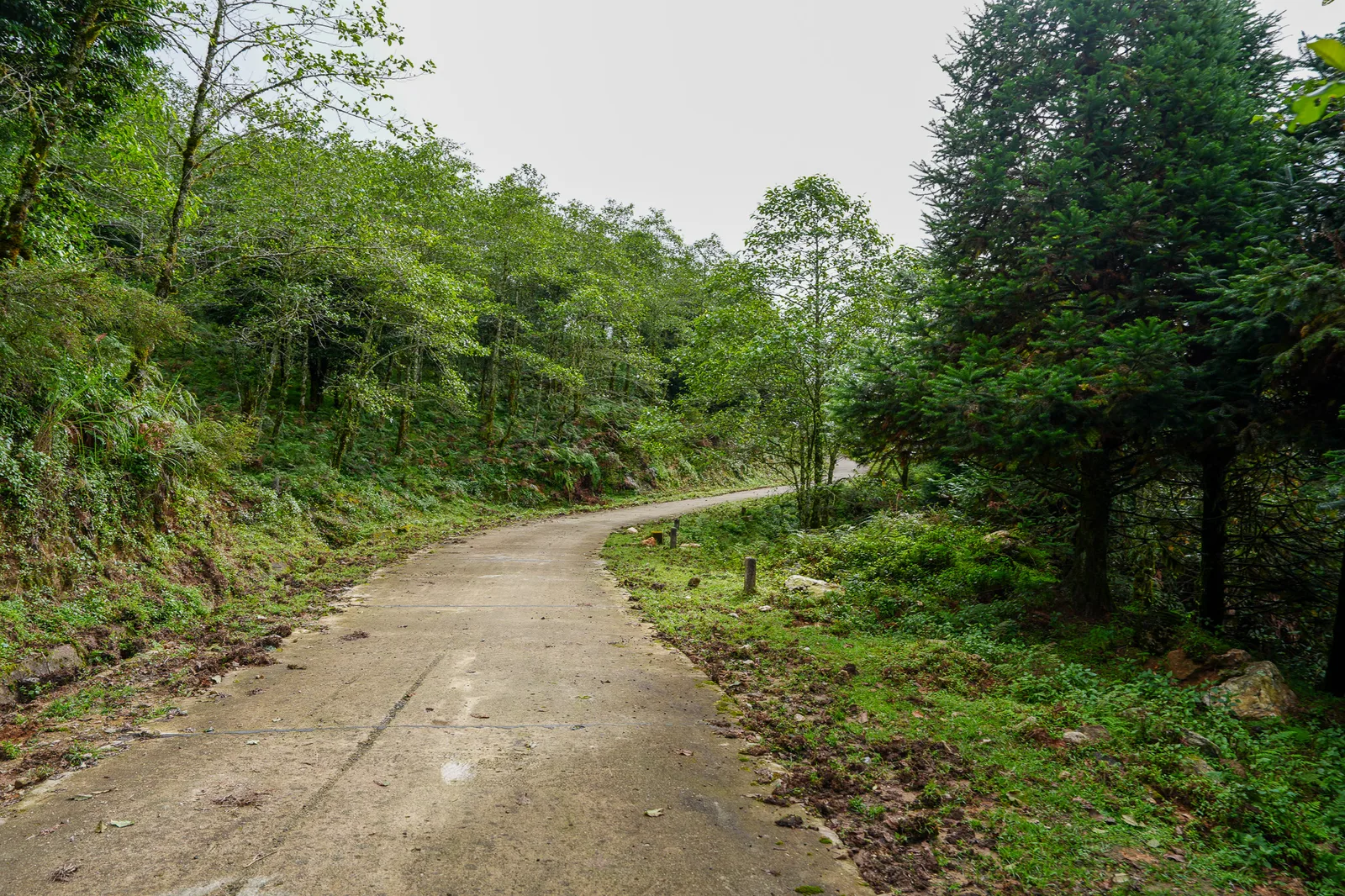 Mountain path on the approach to Chieu Lau Thi in Hoang Su Phi