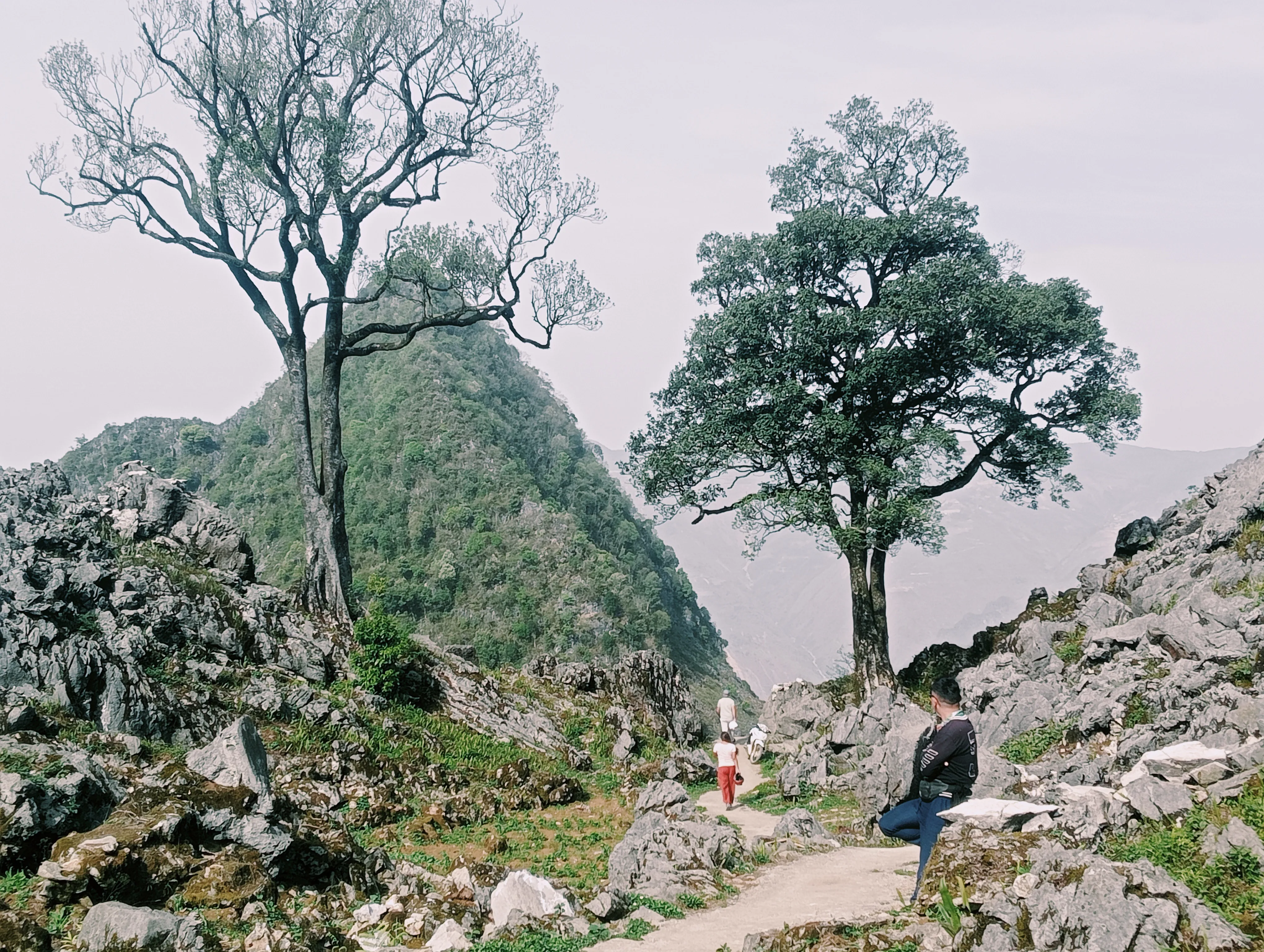 Rocky limestone trail on the Dong Van Karst Plateau, Ha Giang