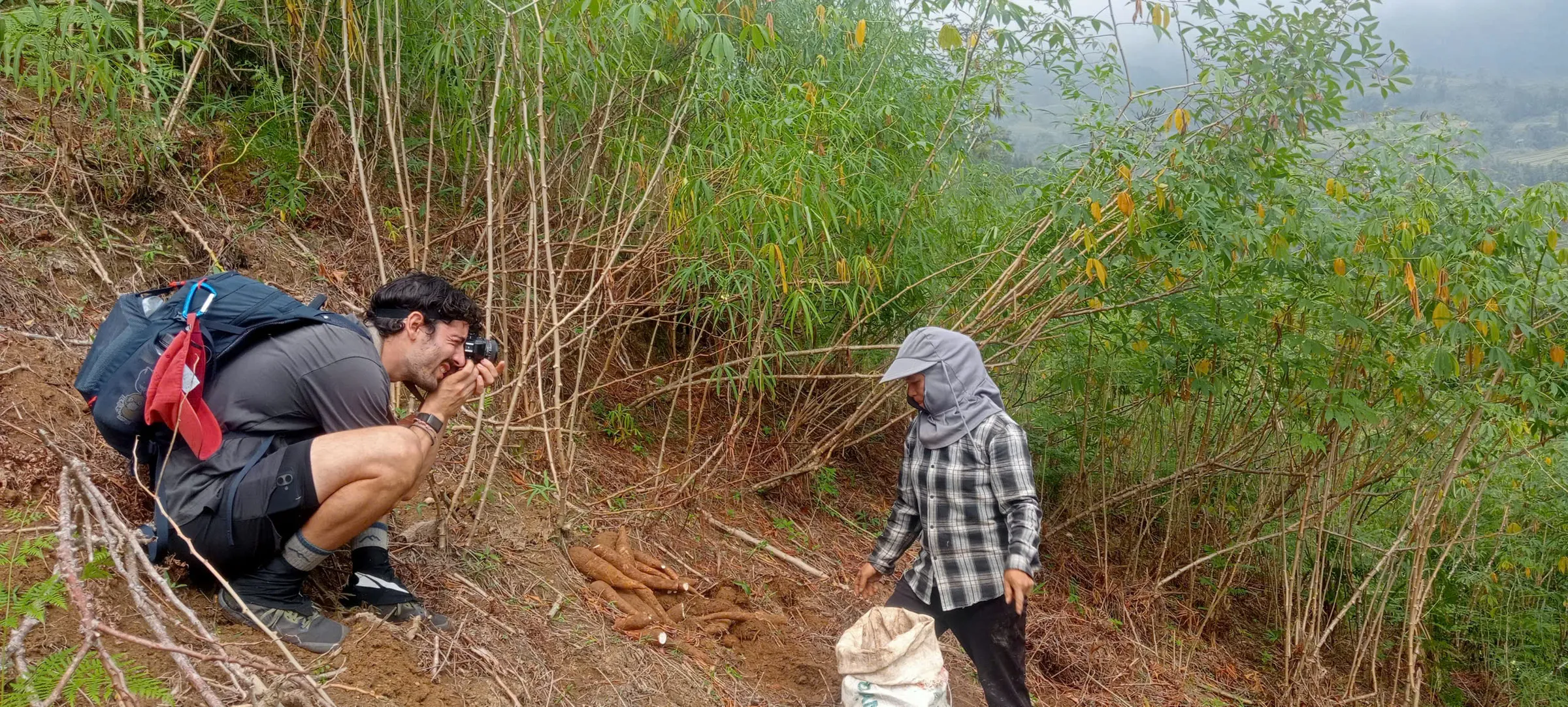 A trekker photographs cassava harvest on a hillside farm path in Hoang Su Phi.