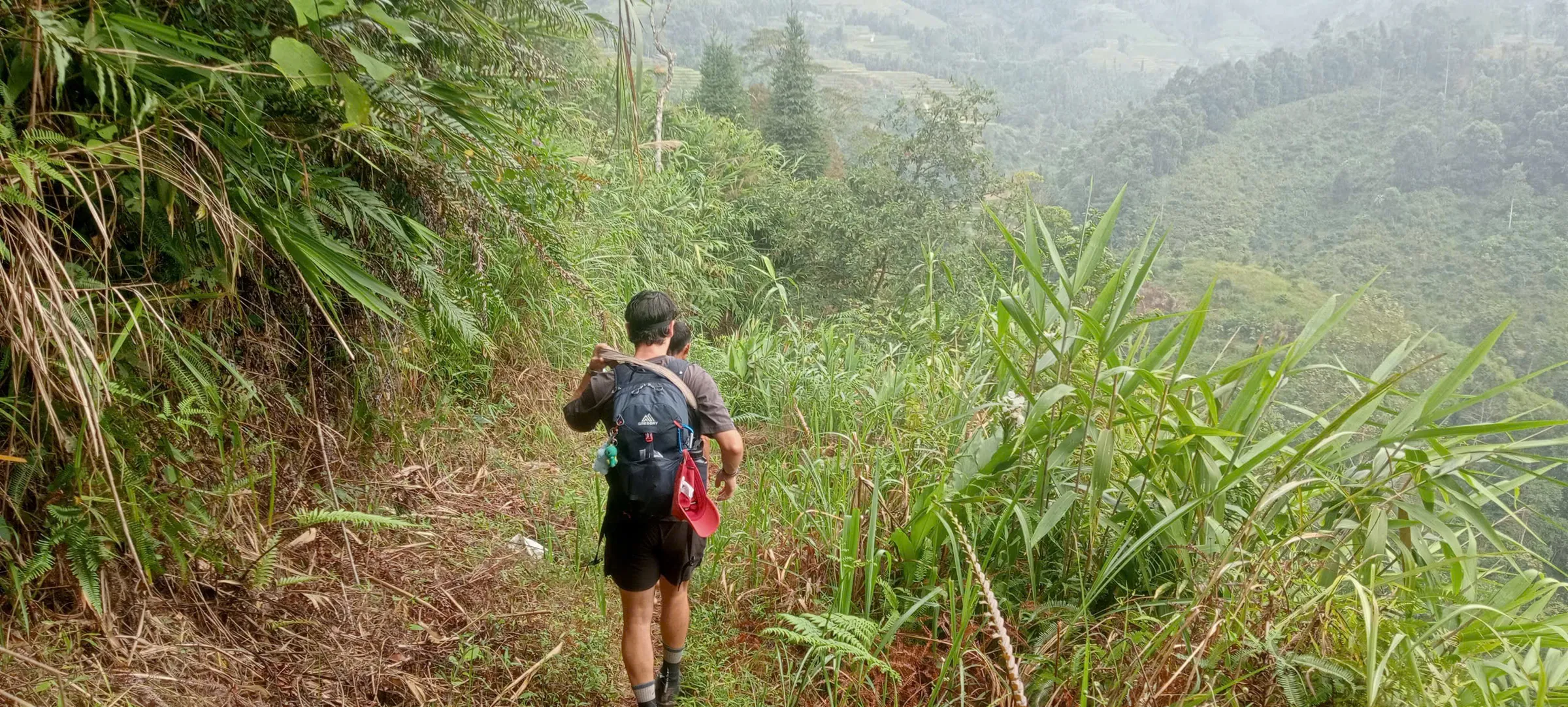 Trekkers follow a narrow hillside footpath through forest with terraced valleys below in Hoang Su Phi.