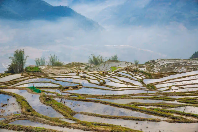 Flooded rice terraces of Hoang Su Phi reflecting misty mountains in the water-filling season