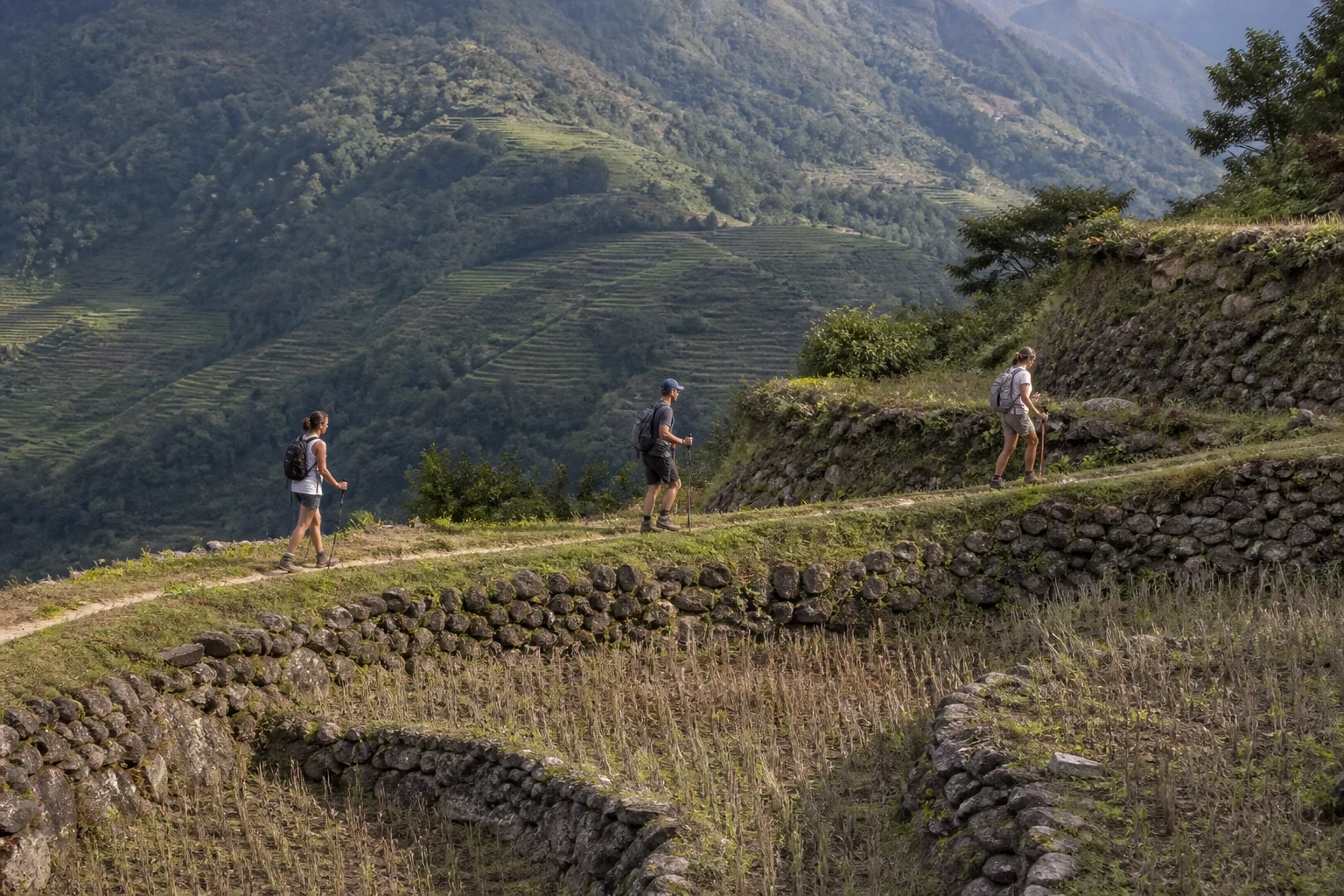 Hikers on a high grassy ridge above a mist-filled valley