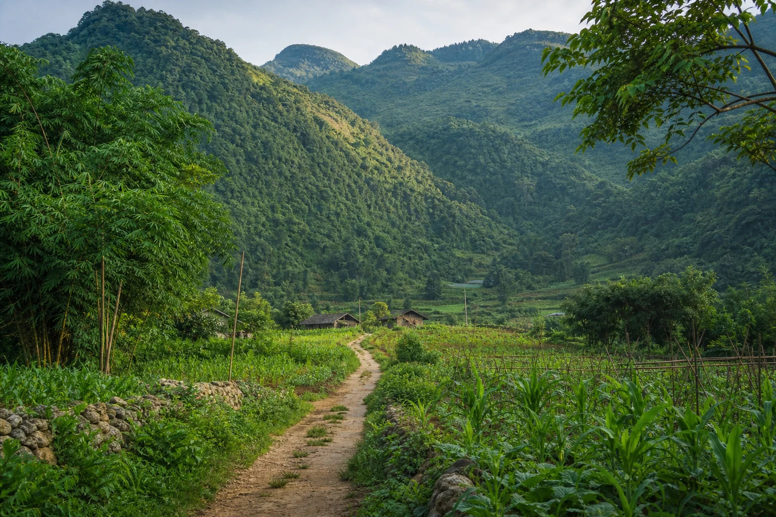 Quiet inhabited side valley with a footpath and small farms in Ha Giang