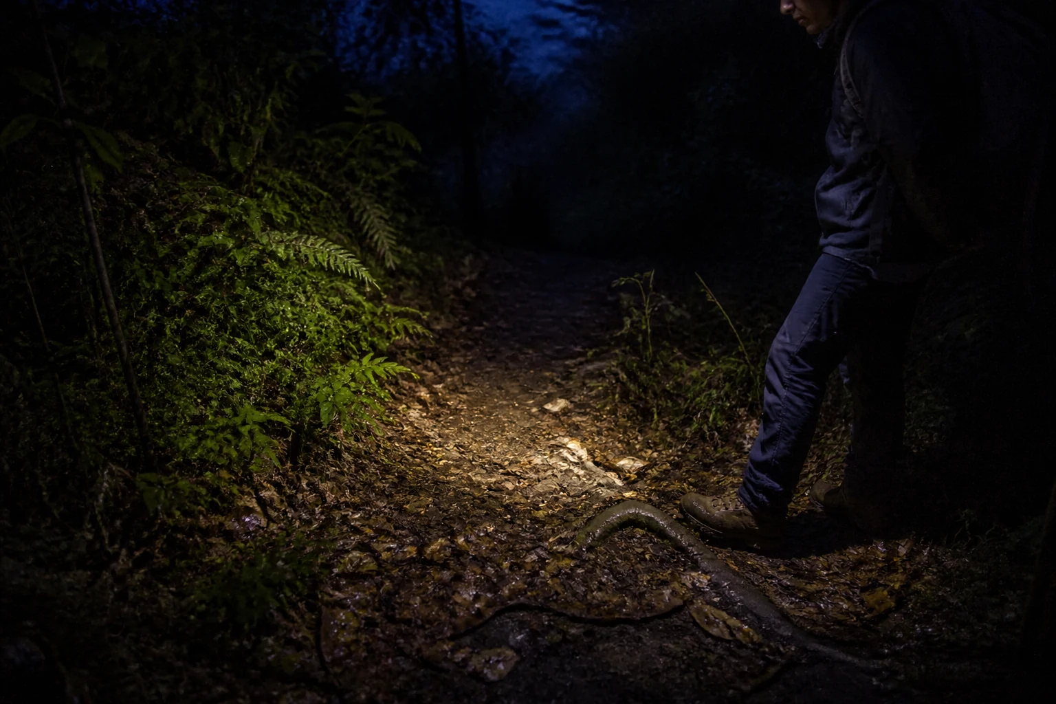 Headlamp illuminating a mountain trail during low-light trekking in Ha Giang