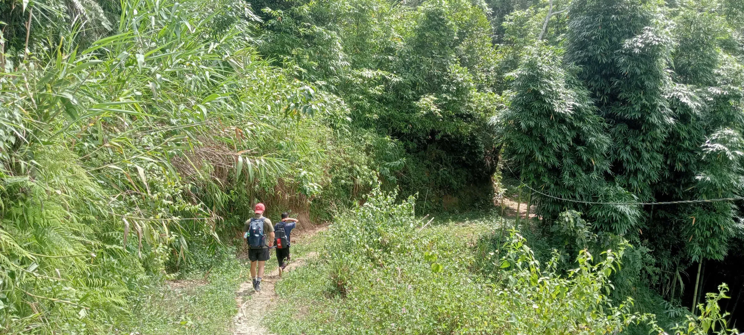 A guide and trekker walk a bamboo-shaded footpath on the Nam Ai to Phin Ho stage in Hoang Su Phi