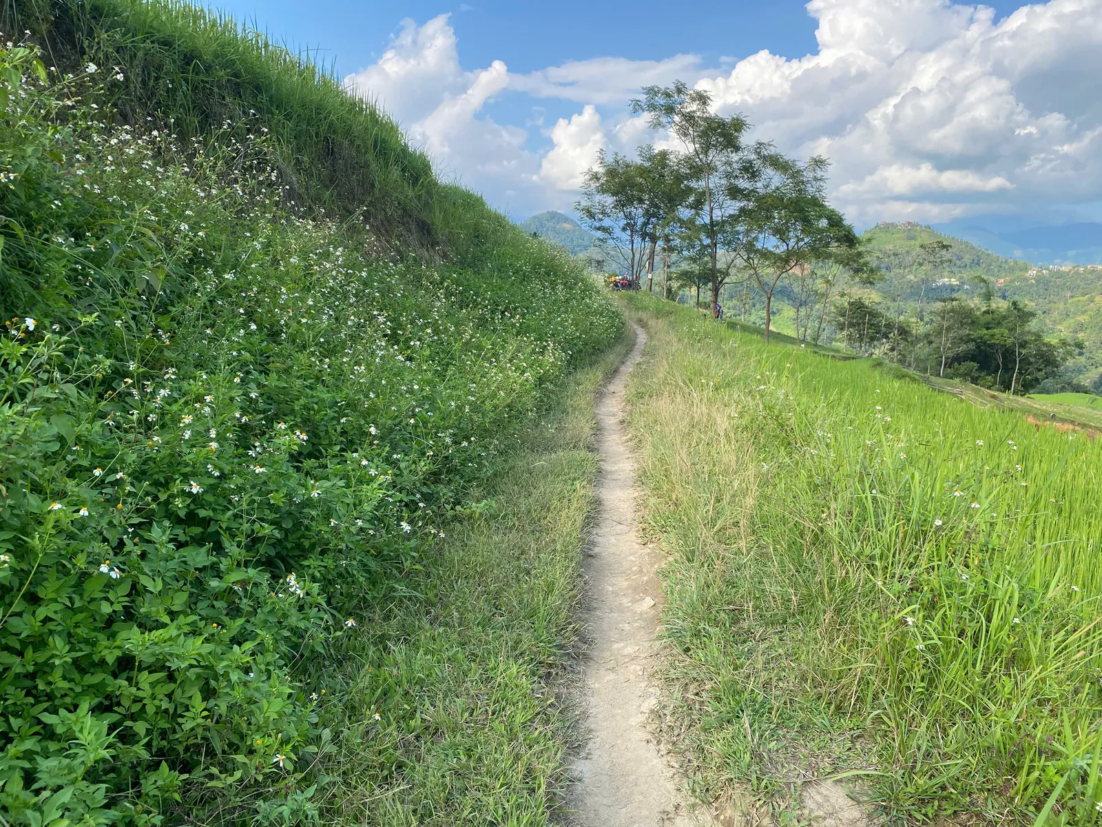 An empty farm path curves along a green ridge above terraced valleys near Nam Hong, Hoang Su Phi.
