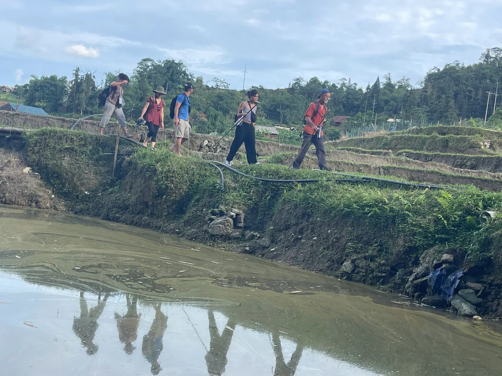 A guide and trekkers walk a narrow path beside flooded rice terraces near Nam Hong, Hoang Su Phi.