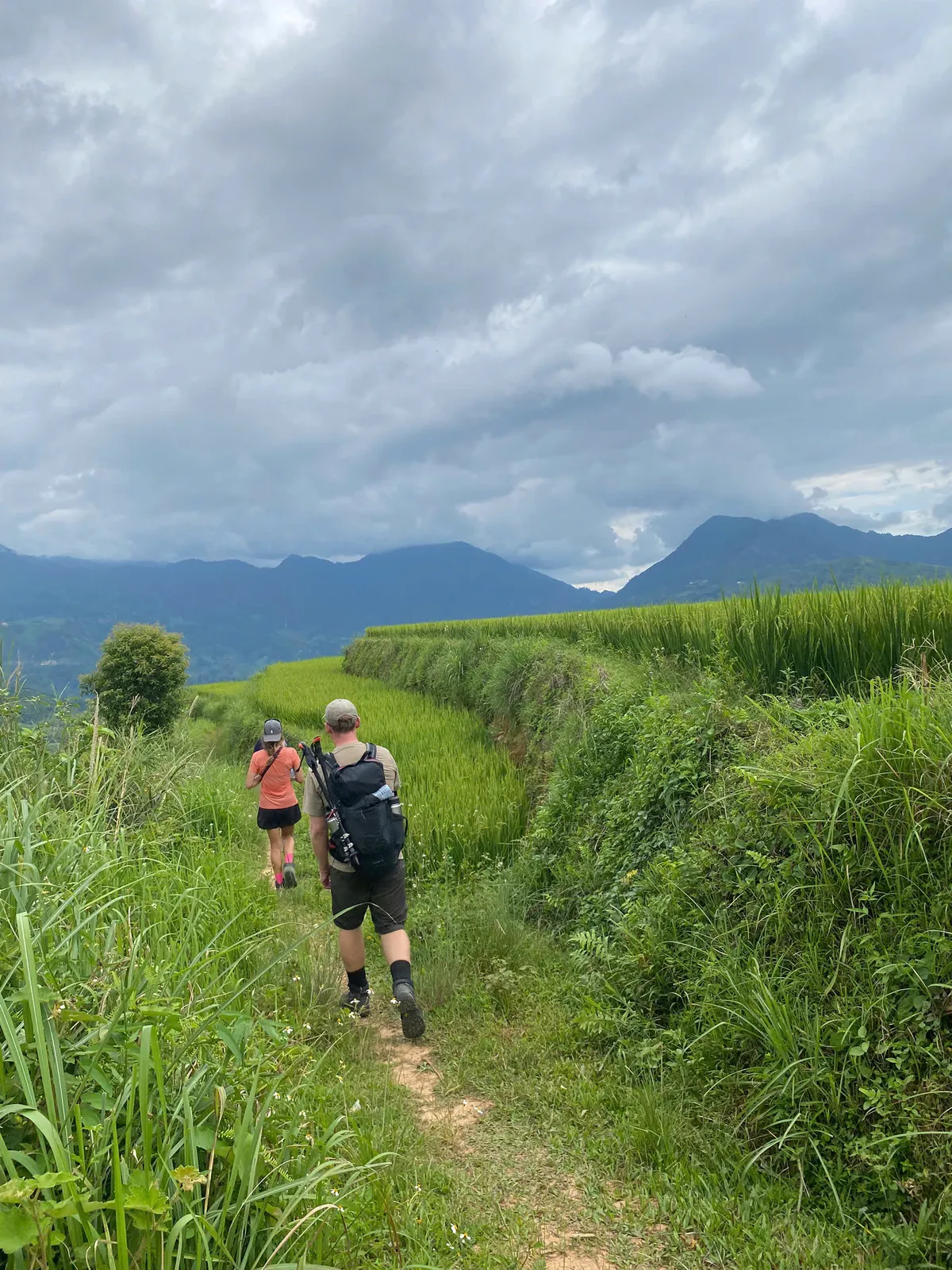 Guests walking with a guide through terraced farmland near Nam Hong, Hoang Su Phi.