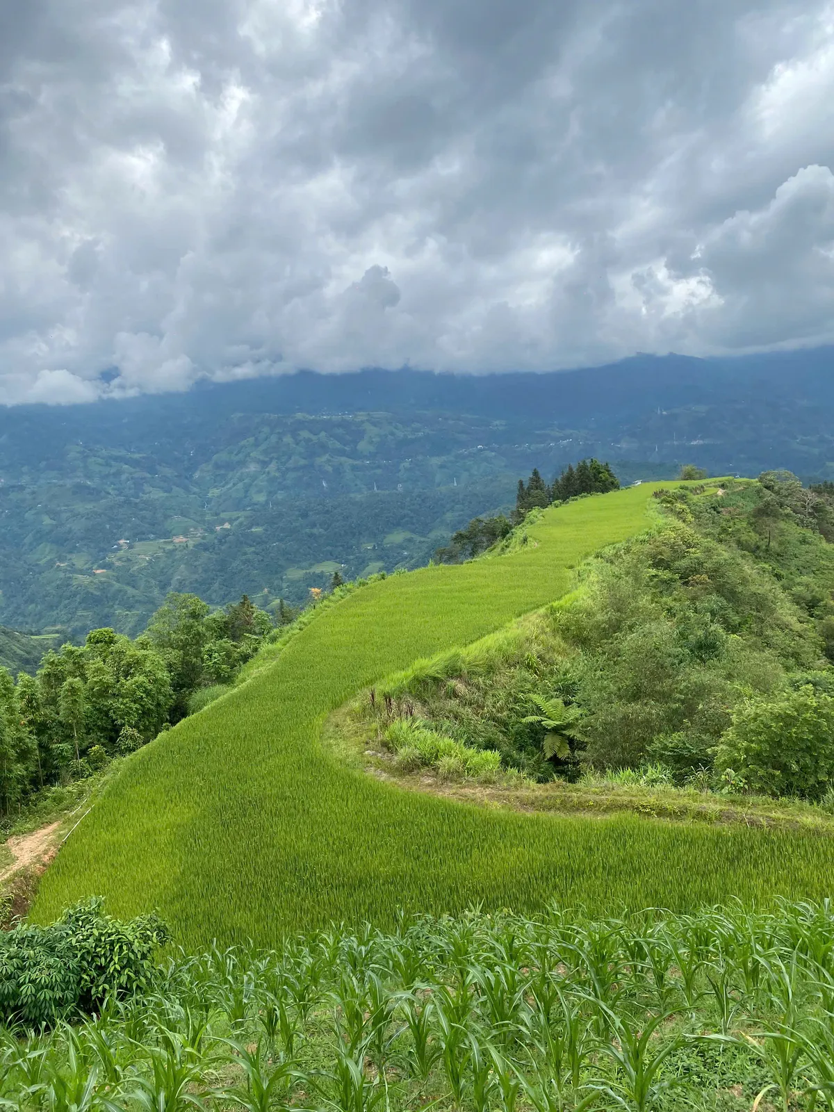 A green cultivated ridge and forested valley under cloud near Nam Hong, Hoang Su Phi.