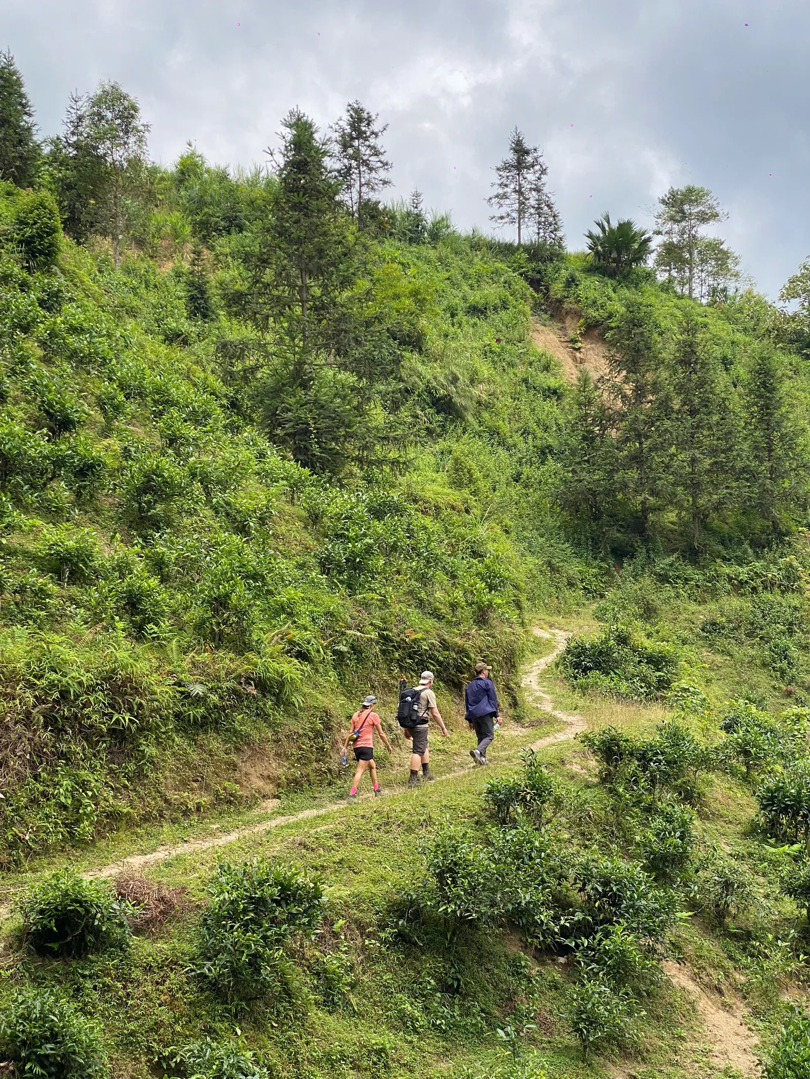 Trekking trail above Nam Hong in Hoang Su Phi