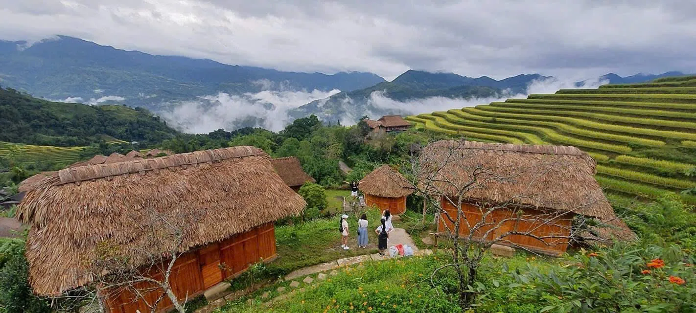Thatched buildings above terraced farmland near Nam Hong, Hoang Su Phi.