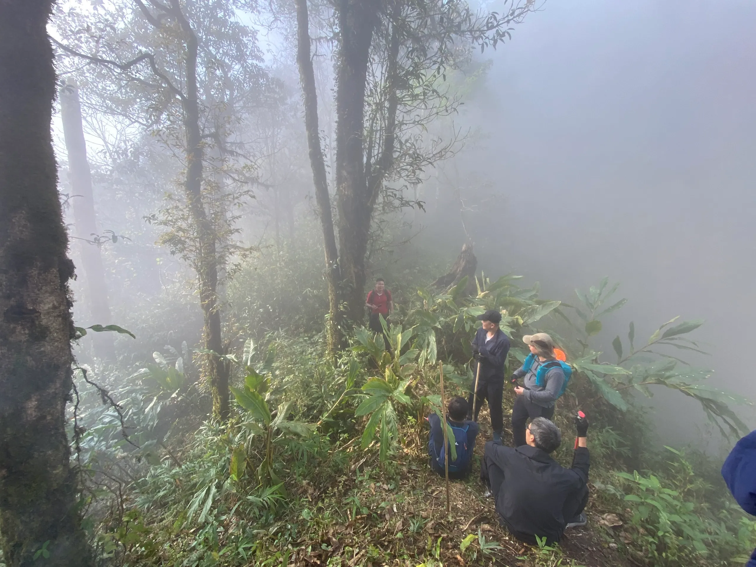 Trekkers resting above mist when conditions allow