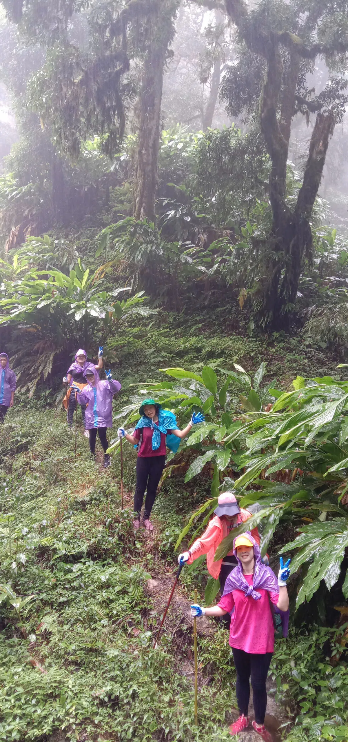 Trekking group on a forest path on Tay Con Linh