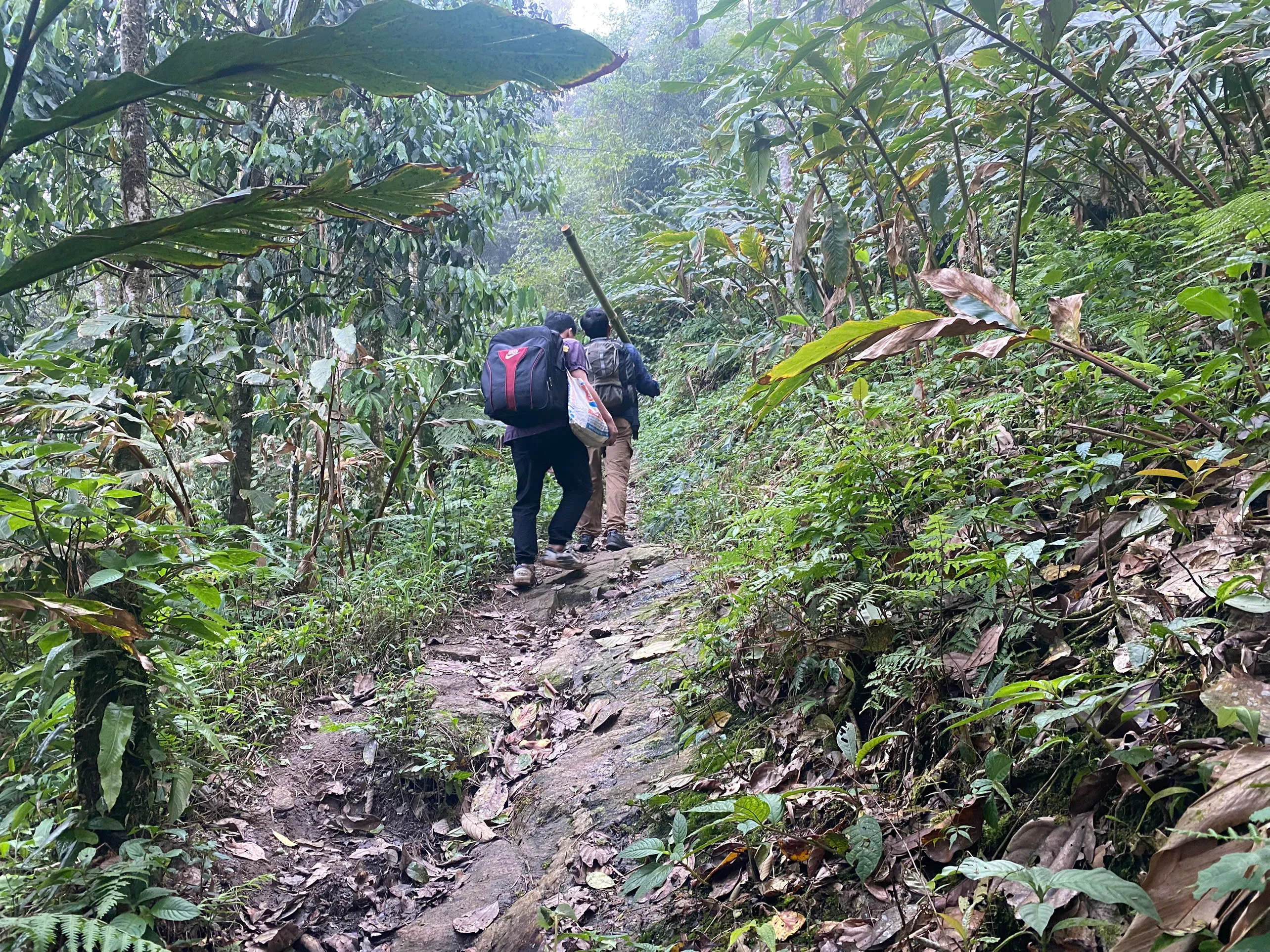 Leaf-covered steep mountain path on Tay Con Linh