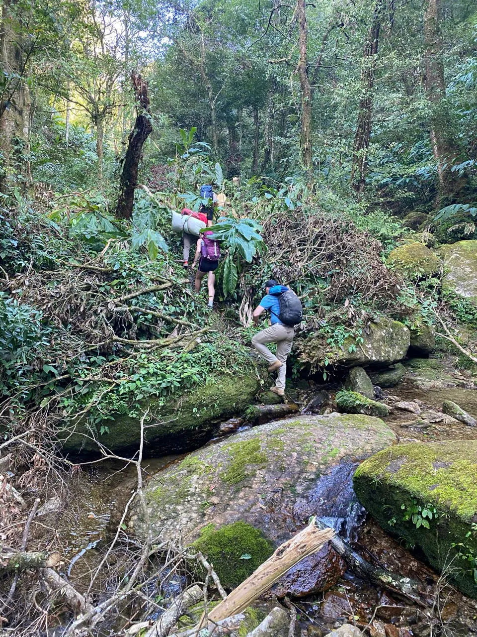 Rocky stream bed on a forest section of Tay Con Linh.