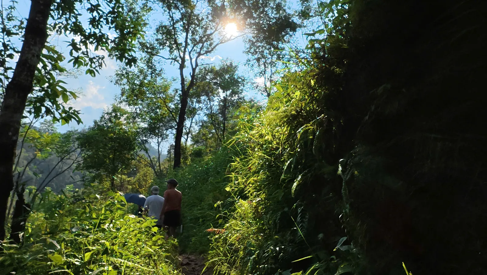 Trekkers on a sunlit narrow forest path on Tay Con Linh