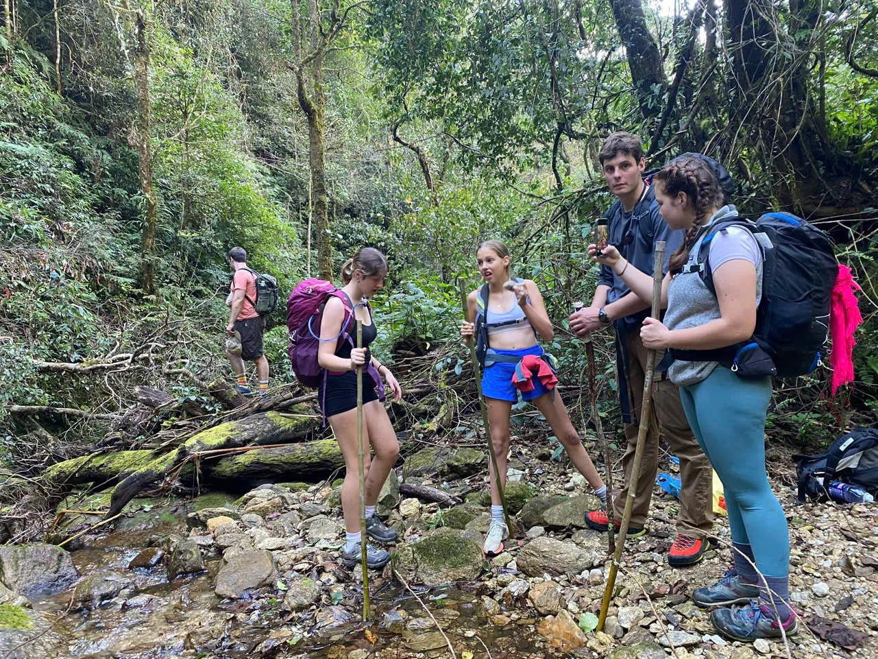 Trekkers pause for a trail meal break in highland forest